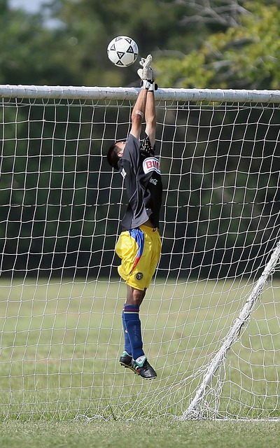 友谊与团结 友谊与团结