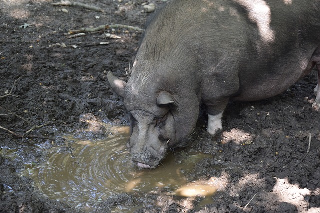 供了坚实的 供了坚实的