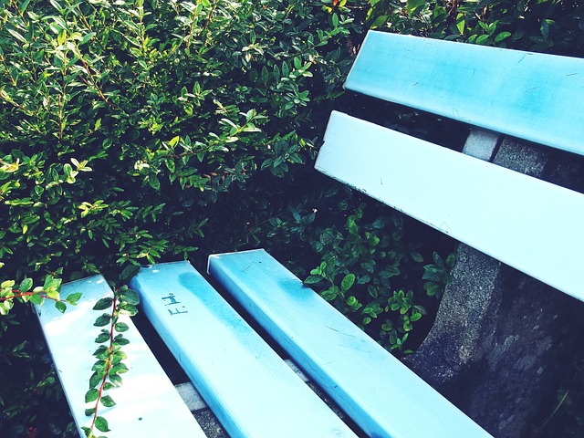 彩的远射证 彩的远射证